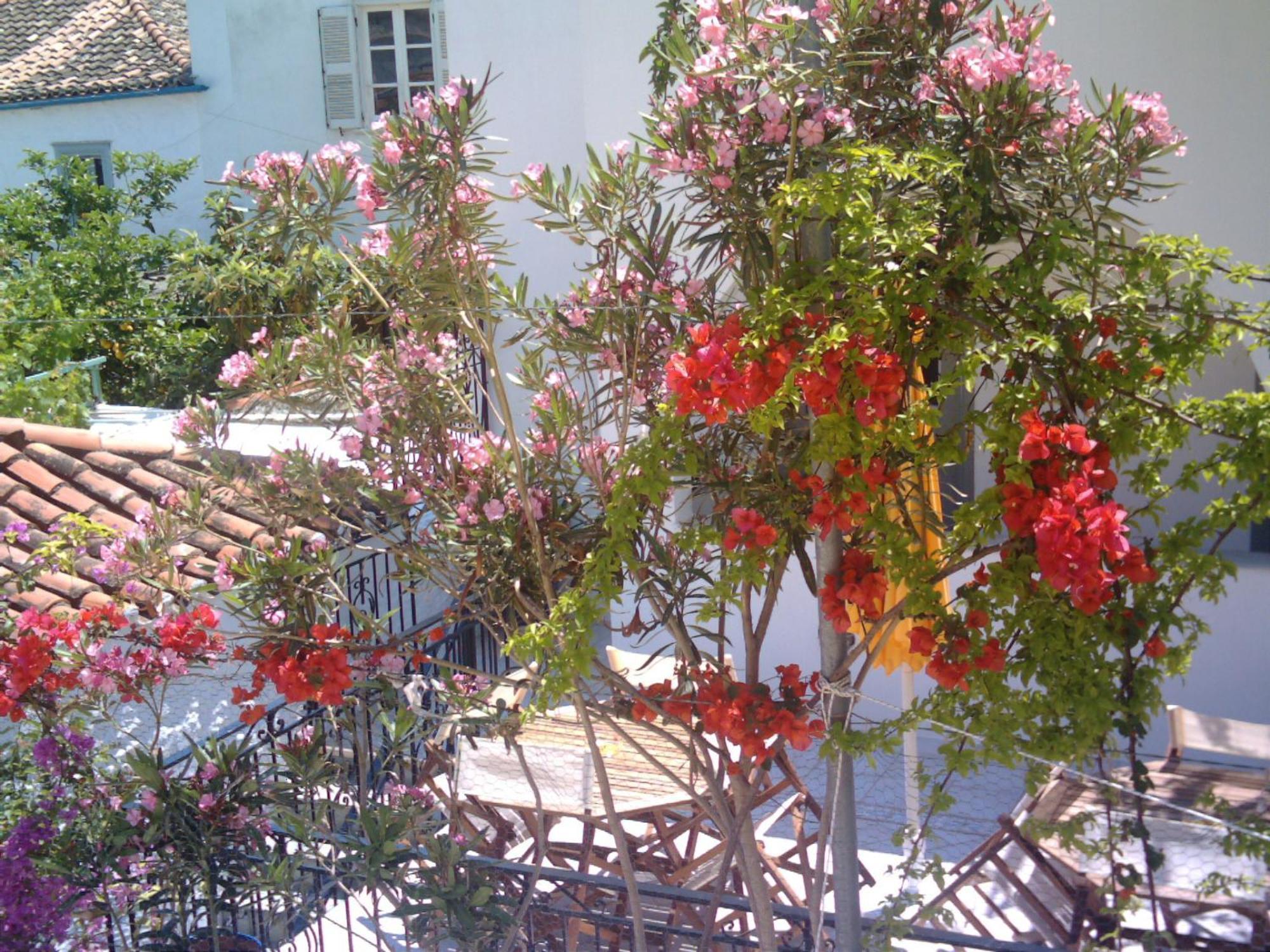 Alkionides Hydra Hotel Екстериор снимка